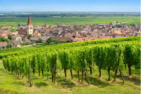 Alsatian Wine Route